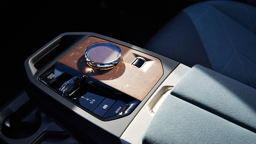 BMW iX BMW iX